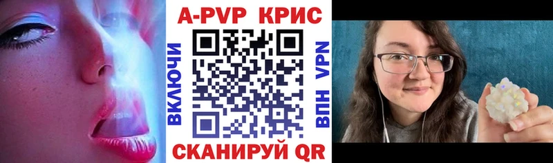 Alfa_PVP СК Таруса