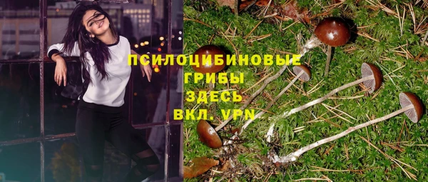 дурь Каменка