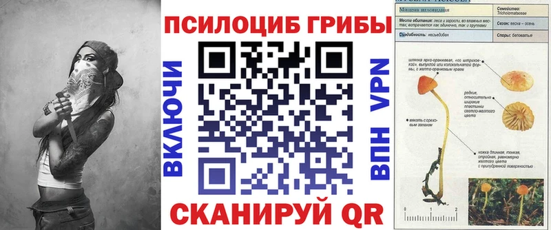 купить наркотик  Таруса  площадка какой сайт  Галлюциногенные грибы GOLDEN TEACHER 